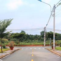 Hàng Thơm! Bán Gấp Lô Đất Siêu Đẹp Long Đức-Long Thành-Đồng Nai. Giá Chỉ Còn 1Tỷ190/Lô 223.2M2. Shr