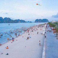 Bán Gấp Đất Nền Tại Dự Án Safabay Cẩm Bình, Cẩm Trung, Cẩm Phả, Quảng Ninh, 28 Triệu / M2, 108 M2