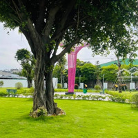 Bán Căn Hộ Chung Cư Iris Tower, Tp Thuận An, Bình Dương