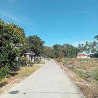 Bán Đất Khu Dân Cư Nghĩa Hòa Hàm Tân