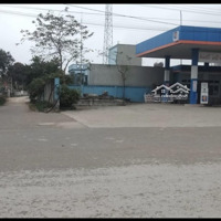 Đất Thành Phố Thanh Hoá Giá Rẻ. Mua Ngay Kẻo Lỡ. Chỉ 1.05 Tỷ Cho 150M2