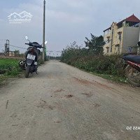 Bán 67M2 Đất Đấu Giá Tại Nguyên Khê, Đông Anh, Vỉa Hè, Ô Tô Tránh View Đẹp, Giá Chỉ 8X Tr