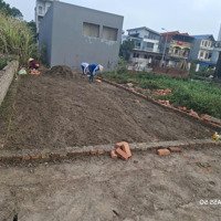 Bán 67M2 Đất Đấu Giá Tại Nguyên Khê, Đông Anh, Vỉa Hè, Ô Tô Tránh View Đẹp, Giá Chỉ 8X Tr