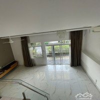 Cho Thuê Mỹ Tú Cảnh Quan, Sân Vườn Rộng, Tại Phú Mỹ Hưng, Q7, Hcm