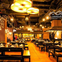Mặt Tiền 8M Cần Cho Thuê Tại Phan Văn Trường, Diện Tích: 80M2 X 5Tầng.thuận Tiện Kinh Doanh Mọi Mô Hình