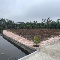 Đất Nền Nam Định Giá Rẻ Vị Trí