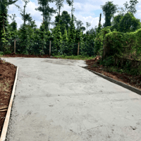 Bán Đất Thổ Cư 150m² Gần Hồ Ea Nhái – Krông Pắc, Đắk Lắk – Giá 350 Triệu (Có Thương Lượng)