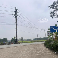 Tài Chính Hời Giá 1, Xtr/M2 Full Thổ Cư Đường 3M Tại Trung Giã, Sóc Sơn