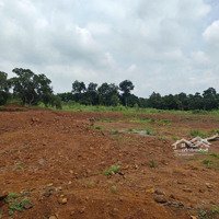 Cần Bán Gấp Gần 5Ha Đất An Khương, Hớn Quản, Bình Phước, Liên Hệ: 0898847779
