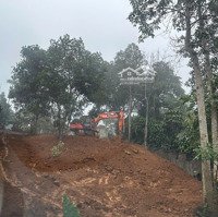 Chính Chủ Gửi Bán Lô Đất Thổ Cư 625M Tại Yên Bình .Thạch Thất. Hà Nội