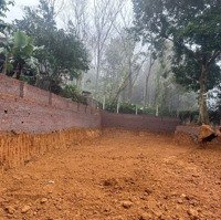 Chính Chủ Gửi Bán Lô Đất Thổ Cư 625M Tại Yên Bình .Thạch Thất. Hà Nội