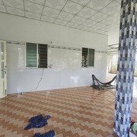 Nhà Cấp 4 Giá Rẻ Thủy Tây, Thạnh Hoá, Long An. Phù Hợp Để Ở Hoặc Cải Tạo Làm Nhà Yến