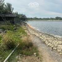 Chủ Kẹt Tiền Bán Giá Bán 2,25 Tỷ - Đất Lúa Giá Rẻ Nhựt Ninh Tân Trụ,Diện Tích5200M2