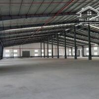 Cho Thuê Nhà Xưởng 6000M2 Giá Chỉ 300 Triệu/Th Trong Kcn Thuận An, Bình Dương