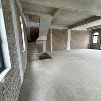 Sỡ Hữu Giá Gốc Biệt Thự Song Lập Shop Quỹ Ngoại Giao 1 Căn Duy Nhất Không Thu Chênh, 360M2, Vin 2