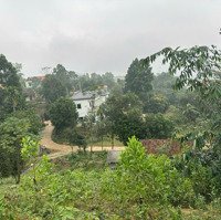 Nghỉ Dưỡng View Thoáng Ạ.
Vị Trí Đất Yên Trung Thạch Thất Hn
Diện Tích: 714M Thổ Cư 125M.