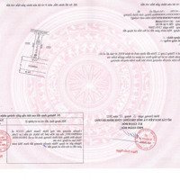 2 Lô Duy Nhất Giá Bán 890 Triệu, 100M2, Bàu Bàng, Bình Dương, Công Chứng Ngay Trong Tuần