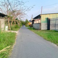 Cho Thuê Đất Nông Nghiệp Tại Tân Thông Hội, Củ Chi