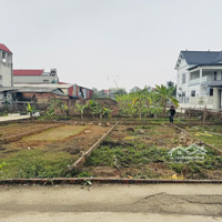 Giá Sinh Lời Đường Oto Tránh Giá 1,5X Tỷ Tại Cộng Hoà, Phù Linh, Sóc Sơn, Hà Nội Liên Hệ: 0984795461