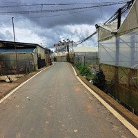 Bán Đất Ngô Gia Tự Thuận Tiện Đầu Tư Lâu Dài, Tại P12, Đà Lạt