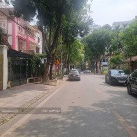 Bán Biệt Thự Phố Cao Xuân Huy - Kđt Mỹ Đình 2