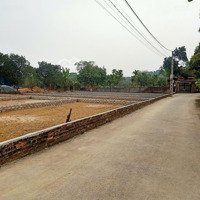 Chính Chủ Chuyên Bán Đất Thửa Nhỏ Xinh, Chỉ Từ 2- 2,5 Tỷ Đất Thổ Cư Tại Hòa Thạch, Quốc Oai