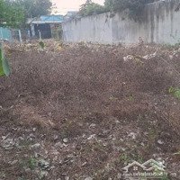 Bán Đất Thổ Cư 500M Trương Thị Kiện, Thái Mỹ, Củ Chi