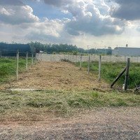 Bán Gấp Lô Đất 120M2 Có Thổ Cư, Sổ Riêng Đây Đủ Ngay Đường Ba Sa, Phước Hiệp, Củ Chi