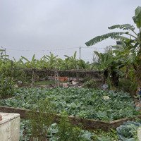 Cần Bán Gấp 72M Đất Dịch Vụ Xã Lại Yên.chính Chủ Cần Bán