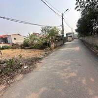 Bán 117,3m2 đất gần đường 52  tại xóm Chám, Định Trung, Vĩnh Yên, Vĩnh Phúc giá: 16,5tr/m2
