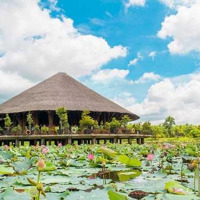 Chuyên Bán Đất Và Săn Đất - Giá Đầu Tư Tại Làng Sen Việt Nam, Long Châu Hội Phố - 0972 864 268