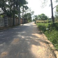 Bán Đất Vị Trí Đẹpdiện Tích350M2 Có 100M2 Thổ Cư Đường Lê Chí Dân, Tp Thủ Dầu Một, Bình Dương. Giá Mềm