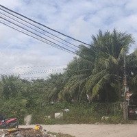 Bán Đất Gò Đại, Diên Sơn, Diên Khánh, Khánh Hòa, 1,679 Tỷ, 235 M2
