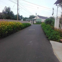 Mặt Tiền Đường Bê Tông Cách Nhựa Chỉ 30M. Giá Bán 3 Tỷ 2 Xuân Sơn Châu Đức.
