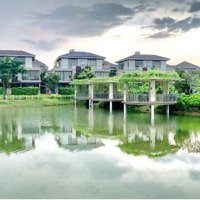 Decor 3 Năm Xong Bán Nhà Lavila 1 Cặp Trục Chính 14X17,6M Trệt 2 Lầu Nt Siêu Cao Cấp 42 Tỷ Bán Gấp