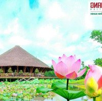 Chính Chủ Cần Bán Gấp Lô Đất Kdc Làng Sendiện Tích81M2, Shr, Full Thổ, Giá Bán 1Ty