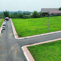 Chủ Ngộp Bán Đất Phường An Hòa, Biên Hòa Giá Lỗ
