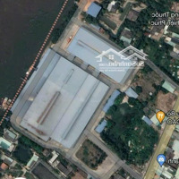 Bán Nhà Máy Xay Xát Gạo Thủ Thừa Long Anmặt Tiềnquốc Lộ 62Diện Tích4Ha Có 5000 Tc Bán Cả Máy Móc 250 Tỷ