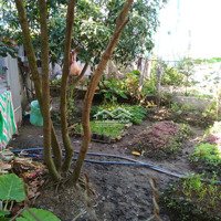 Chính Chủ Cần Bán Gấp Đất Nền Thị Trấn Cần Giuộc, Đường Đình Trị Yên