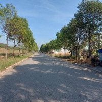 Bán Đất 300M2 Tại Nguyễn Văn Linh, Vĩnh Tân, Tân Uyên, Bình Dương, 900 Triệu , Đầu Tư Và Xây Trọ .