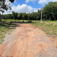 Bán Đất 300M2 Tại Nguyễn Văn Linh, Vĩnh Tân, Tân Uyên, Bình Dương, 900 Triệu , Đầu Tư Và Xây Trọ .