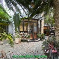 Cho Thuê Căn Nhà Sân Vườn Đẹp Ở Quảng An Tây Hồ Có Bể Cá Koi Xe Hơi Đỗ Miễn Phí