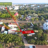 Sản Phẩm Đất Phường Tân Bình - Trung Tâm Thành Phố Đồng Xoài - Bình Phước - Giá Bán Bất Ngờ