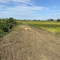 Bán Đất Nền Hàm Chính, 280 Triệu, 616 M2, Hàng Hiếm Tại Hàm Thuận Bắc, Bình Thuận