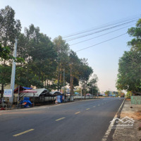 Chỉ 350 Triệu Sở Hữu Ngay 1000M2 Tại An Phú, Hớn Quản, Bình Phước. Cách Trường Chợ Ủy Ban 1Km