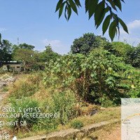 Bán Gấp Đất Nền 1429.3M2, 27 Tỷ Tại Nội Hóa 1, Bình An, Dĩ An, Bình Dương