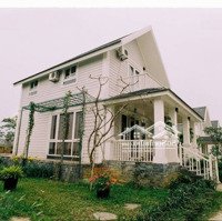 Sun Village - Tình Yêu Đời Đầu Của Tôi, Giờ Đẹp Và Lãng Mạn Quá Rồi! Không Gian Xanh Mát