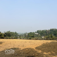 Bán Đất Đầu Tư, Làm Nghỉ Dưỡng, Diện Tích: 2351M Trong Đó Có 366M Thổ Cư, View Nghỉ Dưỡng, Giá Đất Rừng