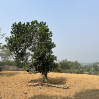 Bán Đất Đầu Tư, Làm Nghỉ Dưỡng, Diện Tích: 2351M Trong Đó Có 366M Thổ Cư, View Nghỉ Dưỡng, Giá Đất Rừng