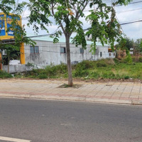 Bán Đất 1900M2 Tại Đường 329, Xã Xuyên Mộc, Xuyên Mộc, Bà Rịa Vũng Tàu, Giá Cực Chất 10,4 Tỷ